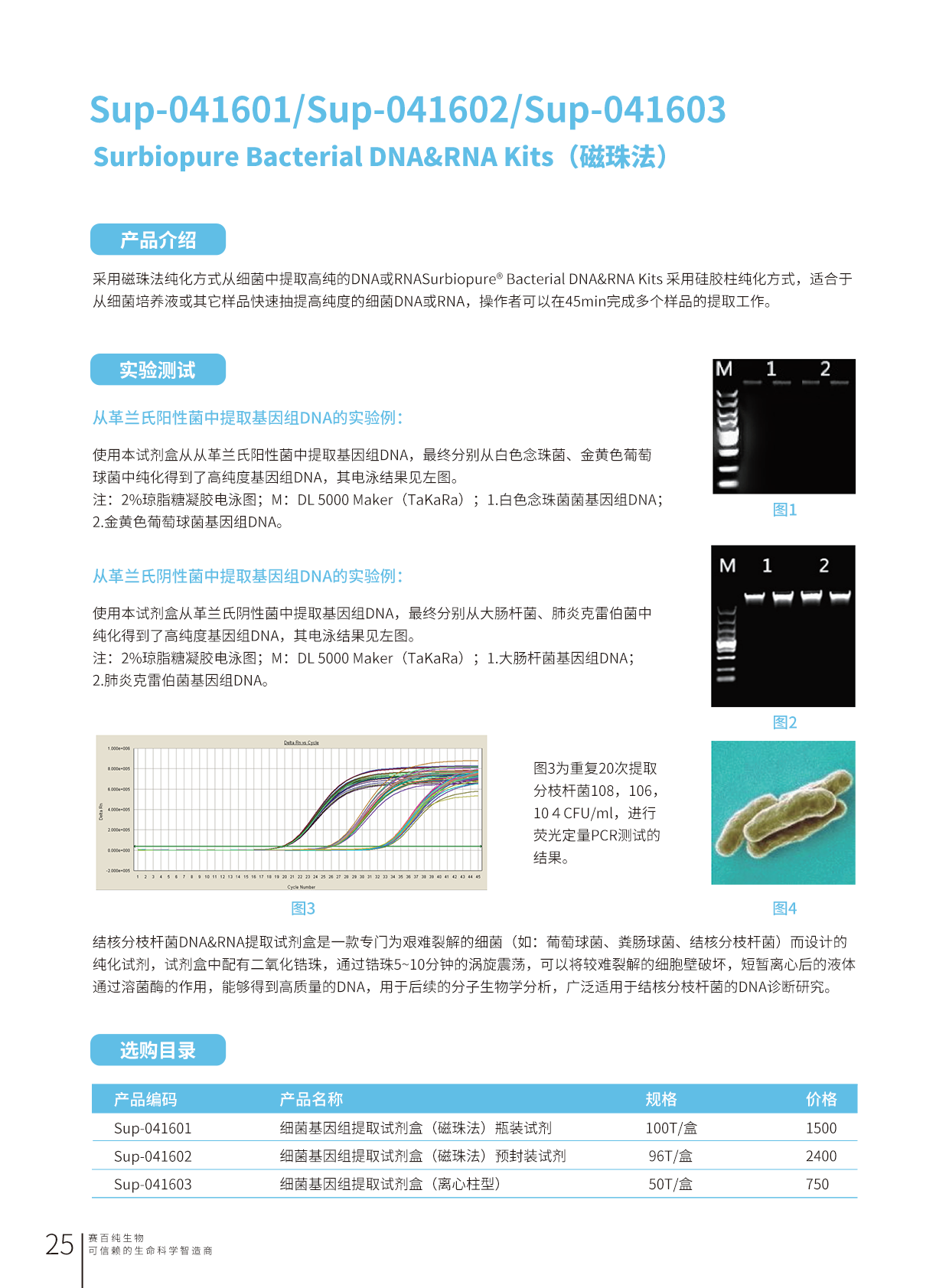 1680751462944547.png 畫(huà)板 25.png